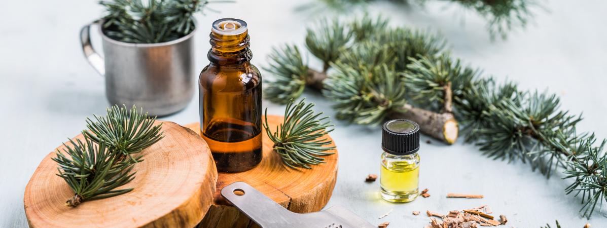 Les 5 huiles essentielles indispensables pour passer l'hiver